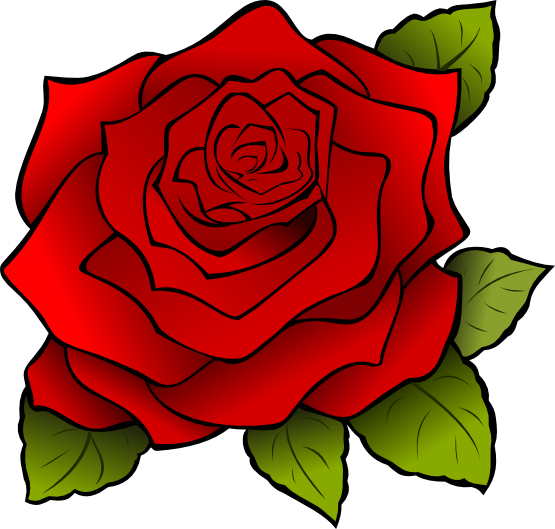 My love is like a red red rose
