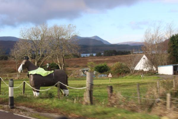 Plastic Horse
